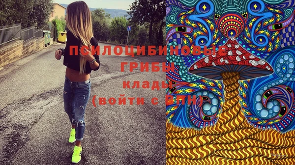 МДМА Белокуриха