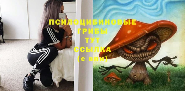 МДМА Белокуриха