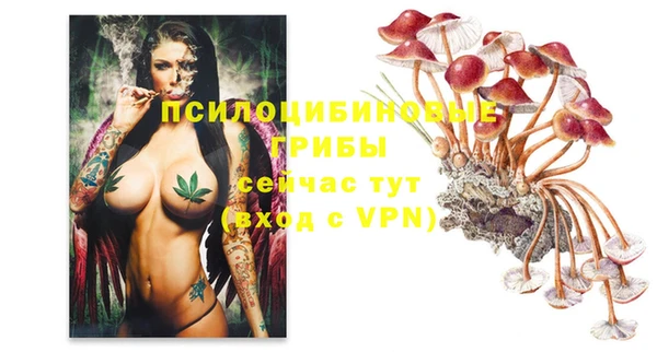 МДМА Белокуриха