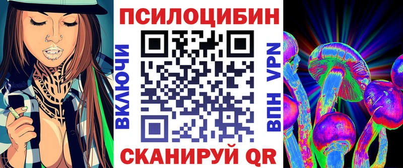 где продают   Велиж  Псилоцибиновые грибы Psilocybine cubensis 